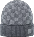 Gray LV Beanie